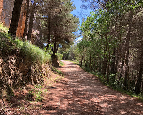 casaboli forest near monreale, palermo, experiences trekking