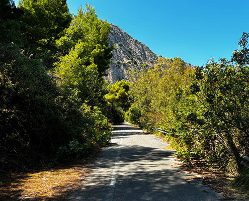 Mountain trekking and nature around Palermo