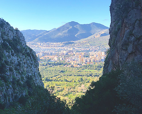 wild nature near palermo, pellegrino mountain, valle del porco